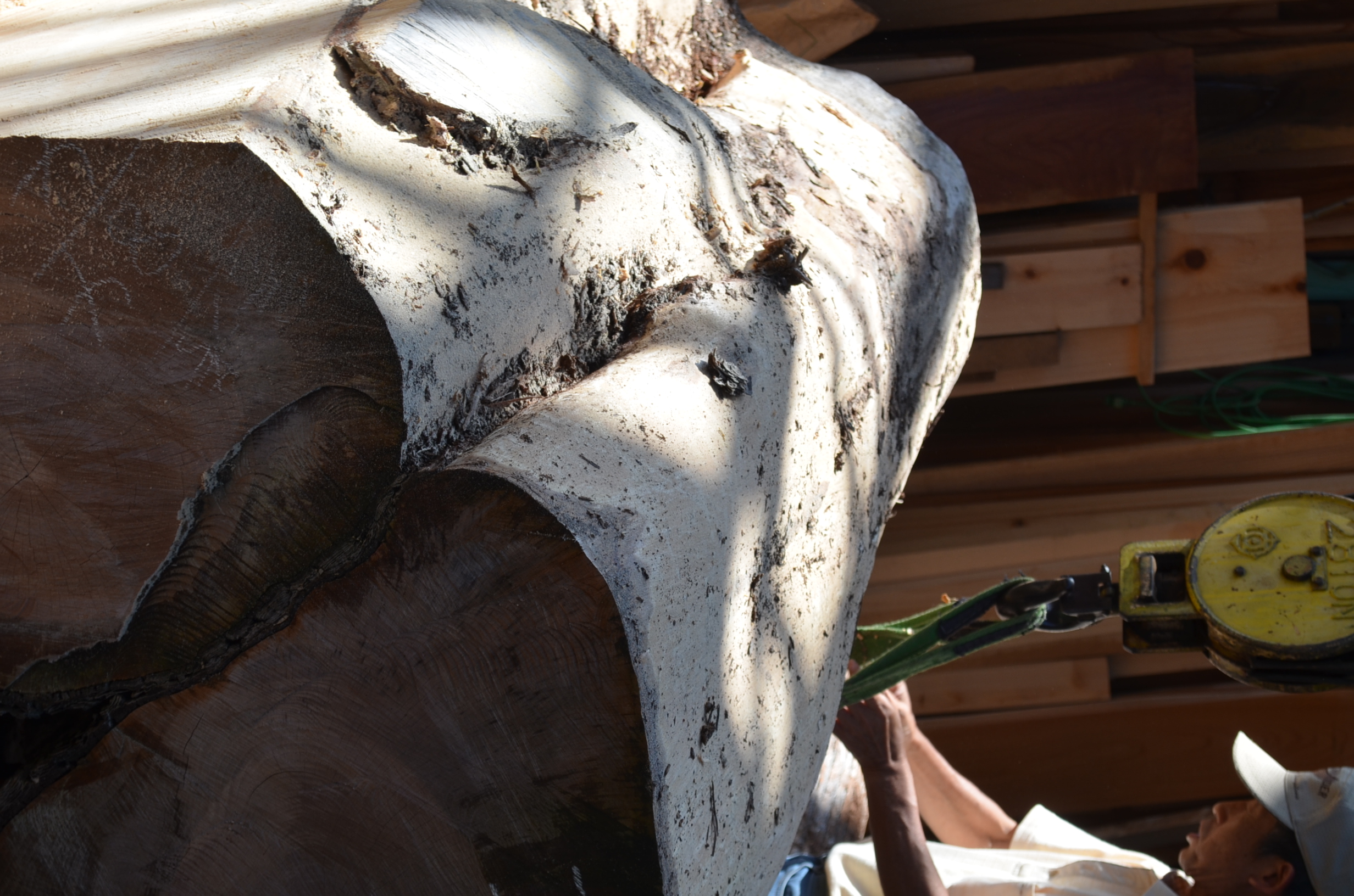 Image title