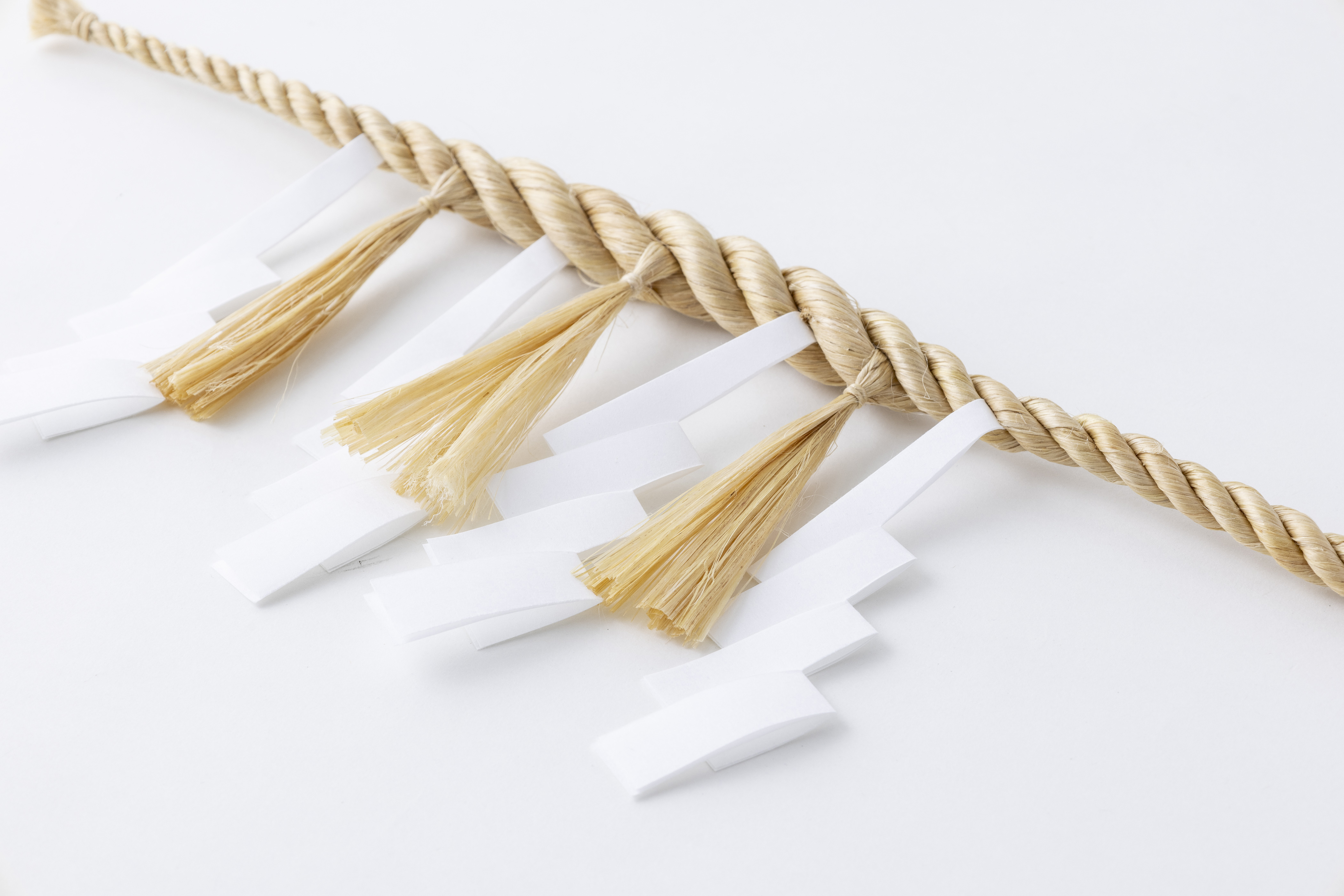 Image title